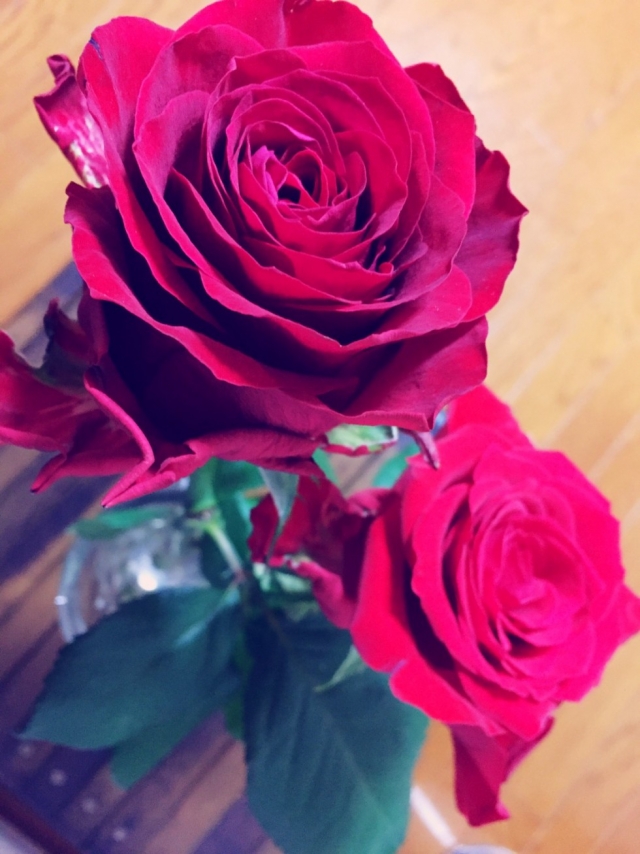 ✨不死のパワー🌹ヴァンパイアヒーリング✨