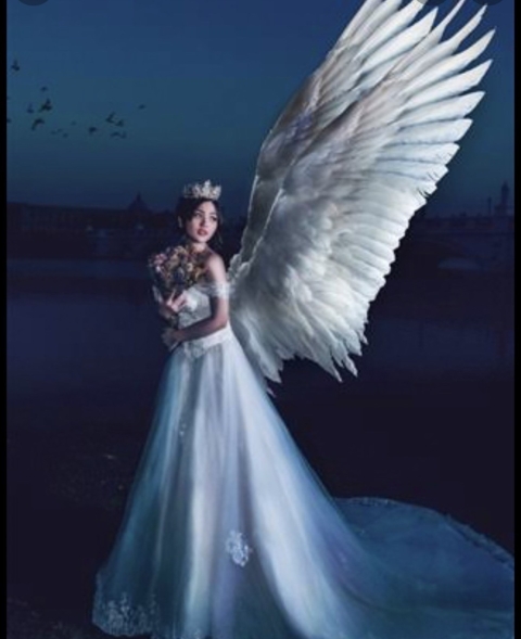 ⭐️エンジェルシーズン到来⭐️チャネリング♓️♊️星座の天使♈️♍️