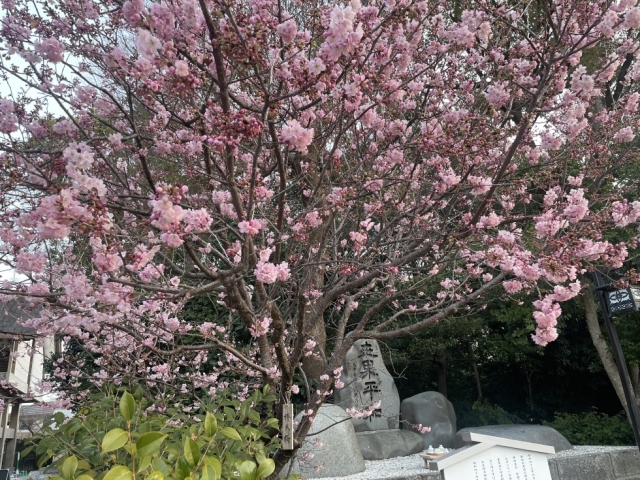 ✈️愛媛県でイベント&神聖幾何学2クリスタルヒーリング講座✨ 山形/酒田/鶴岡/庄内/仙台/四国/愛媛